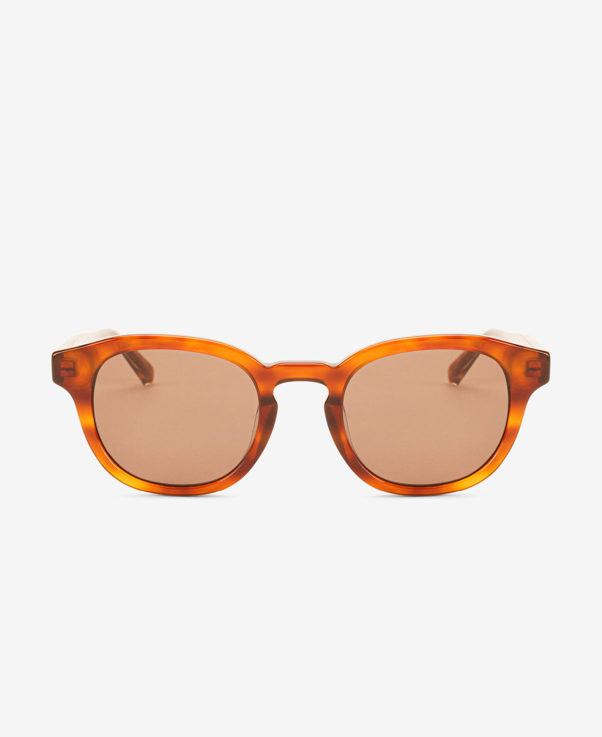 BILLE REVEAL - Havana / Transparent Brown