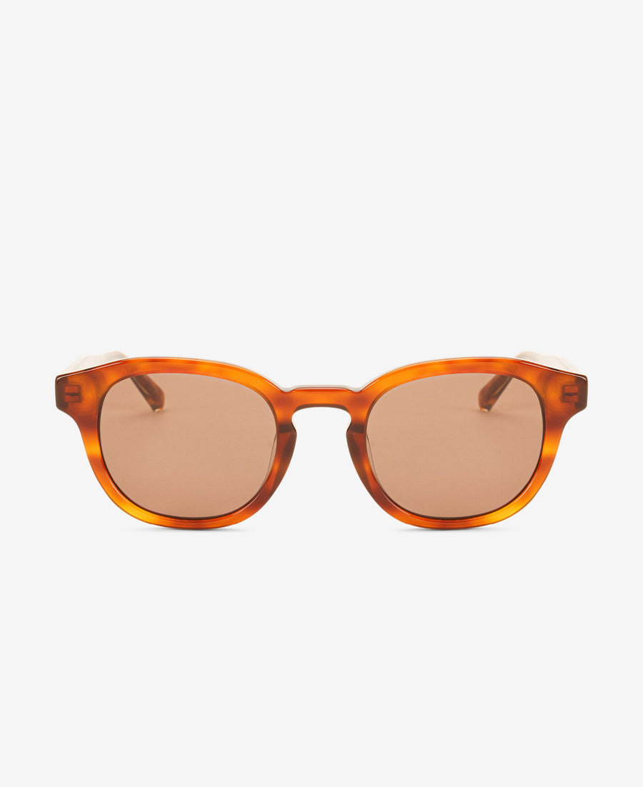 BILLE REVEAL - Havana / Transparent Brown