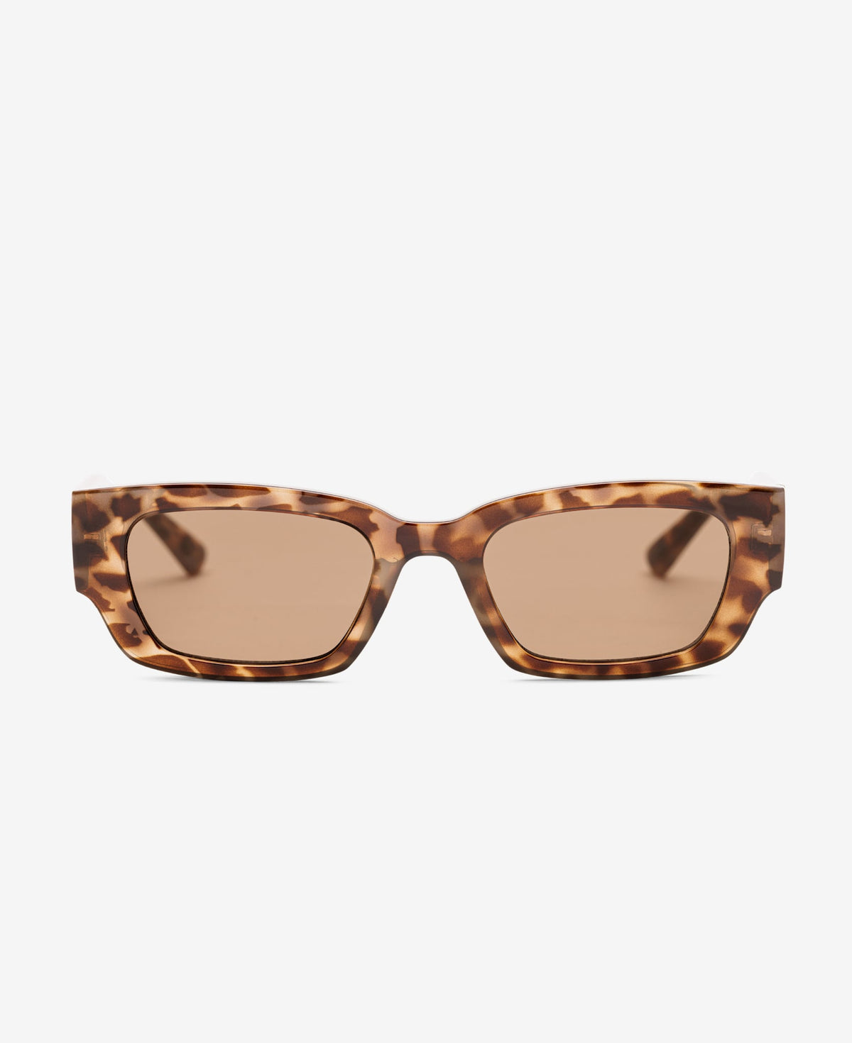 PITT - Egyptian Tortoise Brown