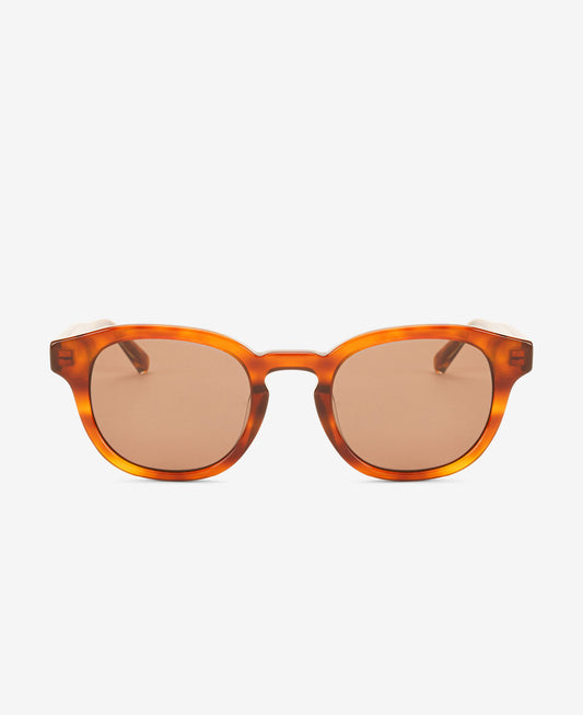 BILLE REVEAL - Havana / Transparent Brown