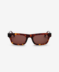 Tortoise Brown