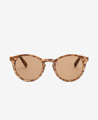 HOBBES - Egyptian Tortoise Brown