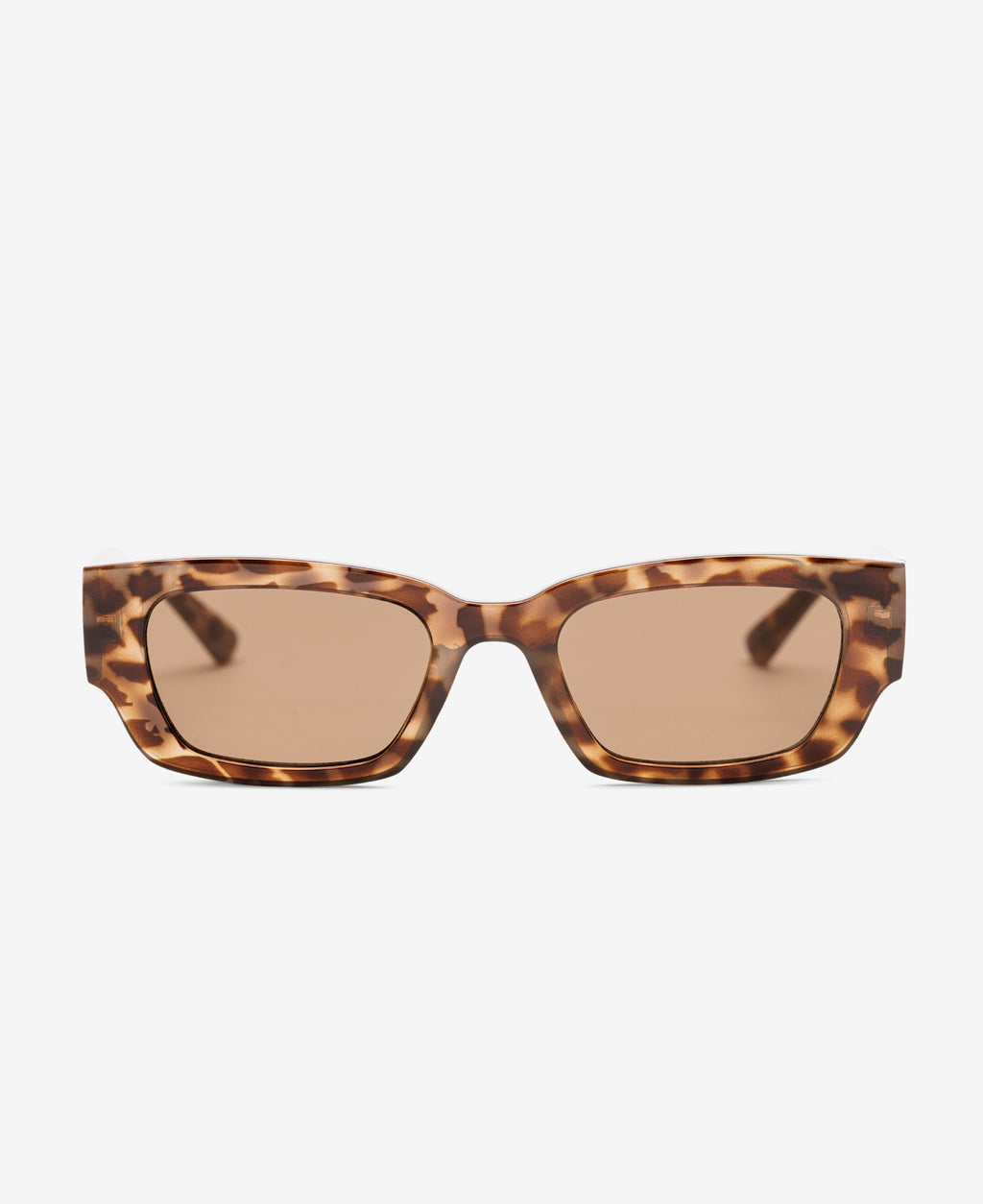 PITT - Egyptian Tortoise Brown