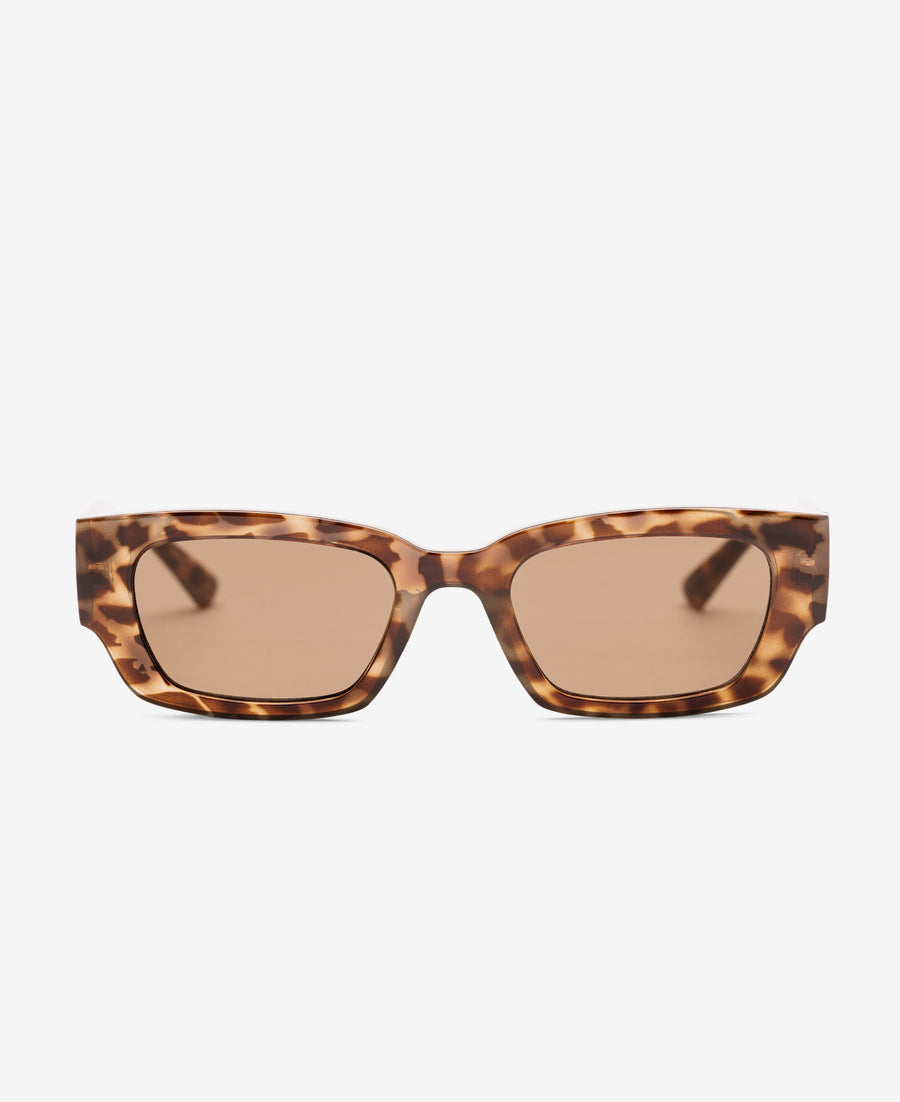 PITT - Egyptian Tortoise Brown