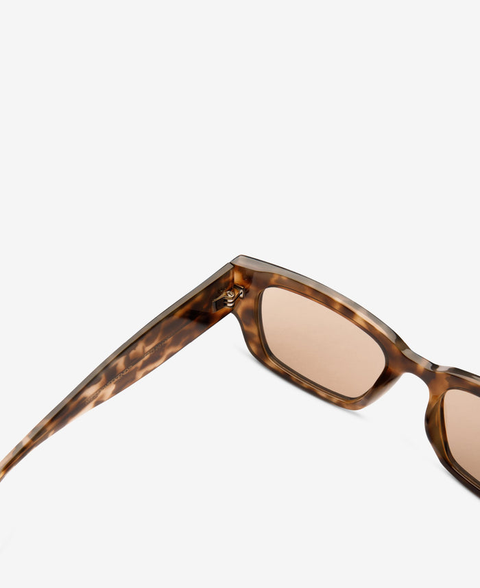 PITT - Egyptian Tortoise Brown